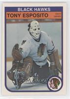 Tony Esposito