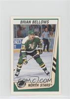 Brian Bellows