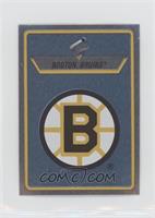 Boston Bruins Team