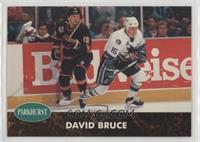 David Bruce