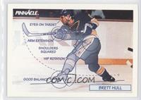 The Technician - Brett Hull