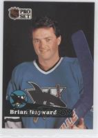 Brian Hayward