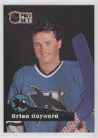 Brian Hayward