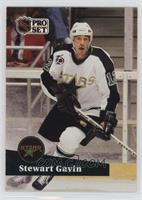 Stew Gavin