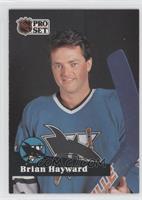 Brian Hayward