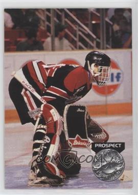 1991-92 Pro Set Platinum - [Base] #252 - Dominik Hasek