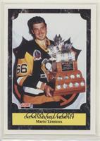 Award Winners - Mario Lemieux