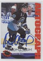 Radek Bonk #/4,940