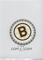 Boston Bruins Team