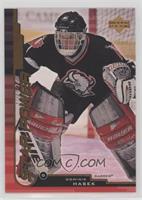 Star Power - Dominik Hasek