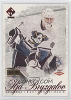 Ilja Bryzgalov #/100