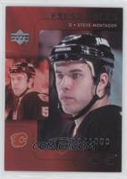 Fresh Faces - Steve Montador #/1,000