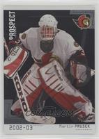 Martin Prusek #/100