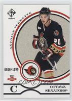 Antoine Vermette #508/1,299