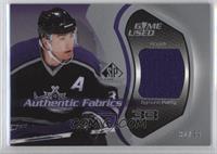 Zigmund Palffy #/99