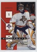 Roberto Luongo [EX to NM] #/100