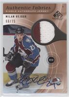 Milan Hejduk #/75