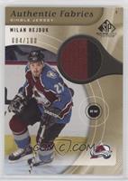 Milan Hejduk #/100