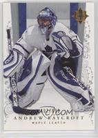 Andrew Raycroft #/699