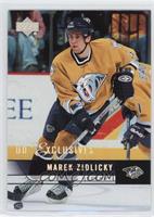 Marek Zidlicky #/100