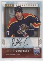 Steve Montador