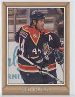 5x7 Photocards - Todd Bertuzzi