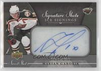 Marian Gaborik #/100