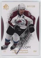 Milan Hejduk #/100