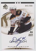 Autographed Future Watch - David Krejci #/999