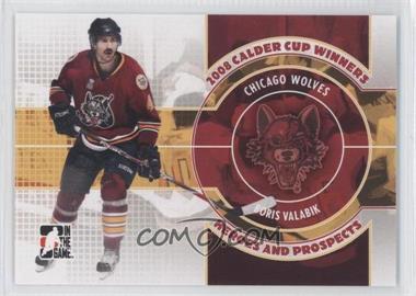 2008-09 In the Game Heroes and Prospects - 2008 Calder Cup Winners #CC-11 - Boris Valabik