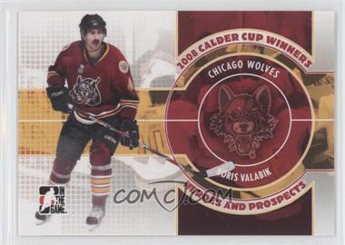 2008-09 In the Game Heroes and Prospects - 2008 Calder Cup Winners #CC-11 - Boris Valabik