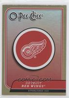 Detroit Red Wings Team