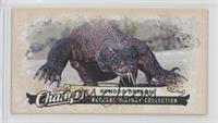 Natural History Collection - Komodo Dragon