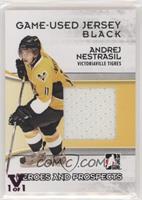 Andrej Nestrasil #/1