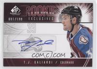 T.J. Galiardi #/100