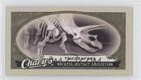 Natural History Collection - Triceratops