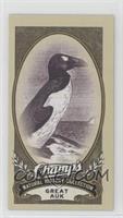 Natural History Collection - Great Auk