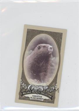 2009-10 Upper Deck Champ's - [Base] #477 - Natural History Collection - Vancouver Island Marmot