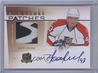 Dmitry Kulikov #/75