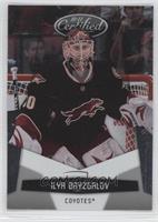 Ilya Bryzgalov