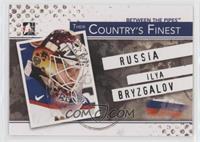 Ilya Bryzgalov