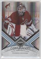 Ilya Bryzgalov [EX to NM] #/25