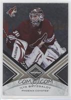 Ilya Bryzgalov #/299