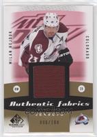 Milan Hejduk #/100