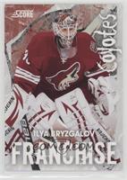 Ilya Bryzgalov