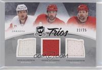 Nicklas Lidstrom, Henrik Zetterberg, Tomas Holmstrom #/25