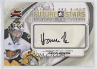 Future Stars - David Honzik