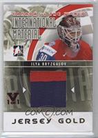 Ilya Bryzgalov [Noted] #/1