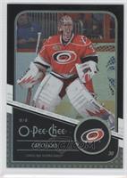 Cam Ward #/100