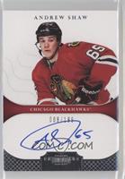 Autographed Rookies - Andrew Shaw #/199